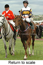 Return to scale (17769 bytes)