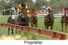 Proprietor (18507 bytes)