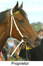 Proprietor (18507 bytes)