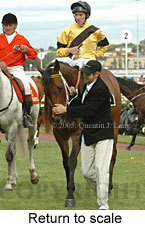 Return to scale (17769 bytes)