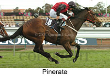 Pinerate (18507 bytes)