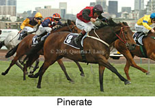 Pinerate (18507 bytes)