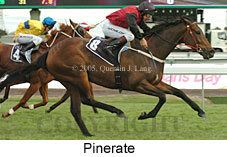 Pinerate (18507 bytes)