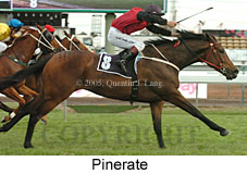 Pinerate (18507 bytes)