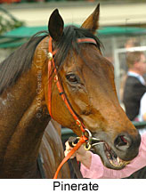 Pinerate (18507 bytes)