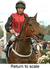 Return to scale (17769 bytes)