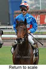 Return to scale (17769 bytes)