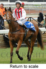 Return to scale (17769 bytes)