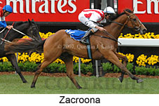 Zacroona (21625 bytes)