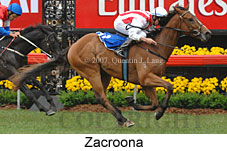 Zacroona (21625 bytes)