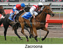 Zacroona (21625 bytes)