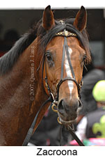 Zacroona (21625 bytes)