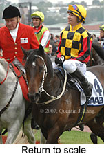 Return to scale (17769 bytes)