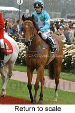 Return to scale (17769 bytes)