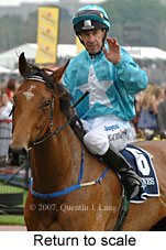 Return to scale (17769 bytes)