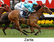 Zarita (21625 bytes)