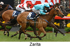 Zarita (21625 bytes)