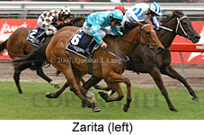 Zarita (21625 bytes)