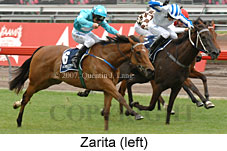 Zarita (21625 bytes)