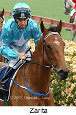 Zarita (21625 bytes)