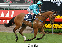 Zarita (21625 bytes)