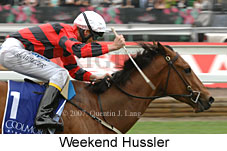 Weekend Hussler (21625 bytes)