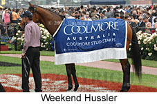 Weekend Hussler (21625 bytes)