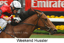 Weekend Hussler (21625 bytes)