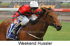 Weekend Hussler (21625 bytes)