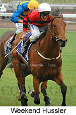 Weekend Hussler (21625 bytes)