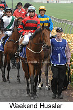 Weekend Hussler (21625 bytes)