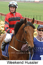 Weekend Hussler (21625 bytes)