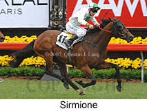 Sirmione (21625 bytes)