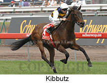 Kibbutz (21625 bytes)