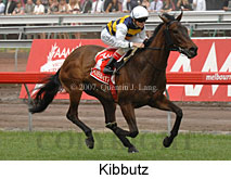 Kibbutz (21625 bytes)