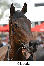 Kibbutz (21625 bytes)