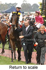 Return to scale (17769 bytes)