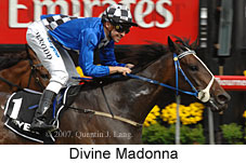 Divine Madonna (17076 bytes)