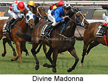 Divine Madonna (21625 bytes)