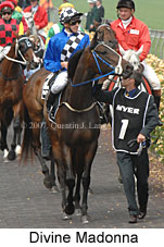 Divine Madonna (21625 bytes)