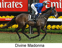 Divine Madonna (21625 bytes)