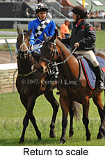 Return to scale (17769 bytes)