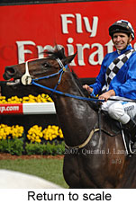 Return to scale (17769 bytes)