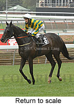 Return to scale (17769 bytes)