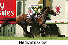 Nediym's Glow (14872 bytes)