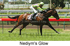 Nediym's Glow (14872 bytes)