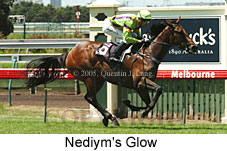 Nediym's Glow (14872 bytes)