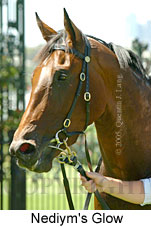 Nediym's Glow (14872 bytes)