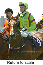 Return to scale (15361 bytes)