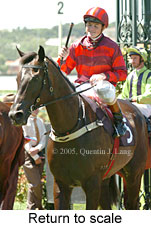 Return to scale (15361 bytes)